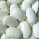 Сортова квасоля в асортименті