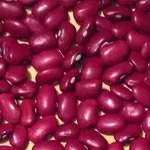 Продаємо квасолю. Доставимо власним транспортом.