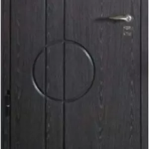 Вхідні двері Кам’янець-Подільський