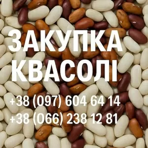 Купуємо квасолю. Заберемо своїм транспортом