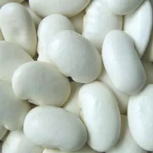  Сортова квасоля в асортименті