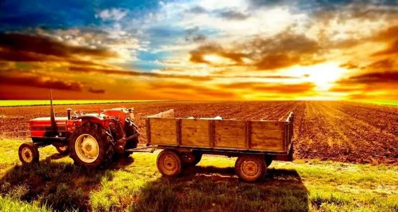 Справочник Сельхозпроизводителей Украины. 41 000 фирм 2