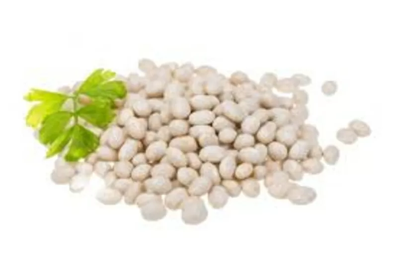 Купуємо білу та кольорову квасолю. Заберемо своїм транспорт